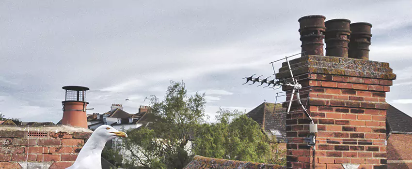 Chimney Cleaning And Restoration in Pendleton, Oregon